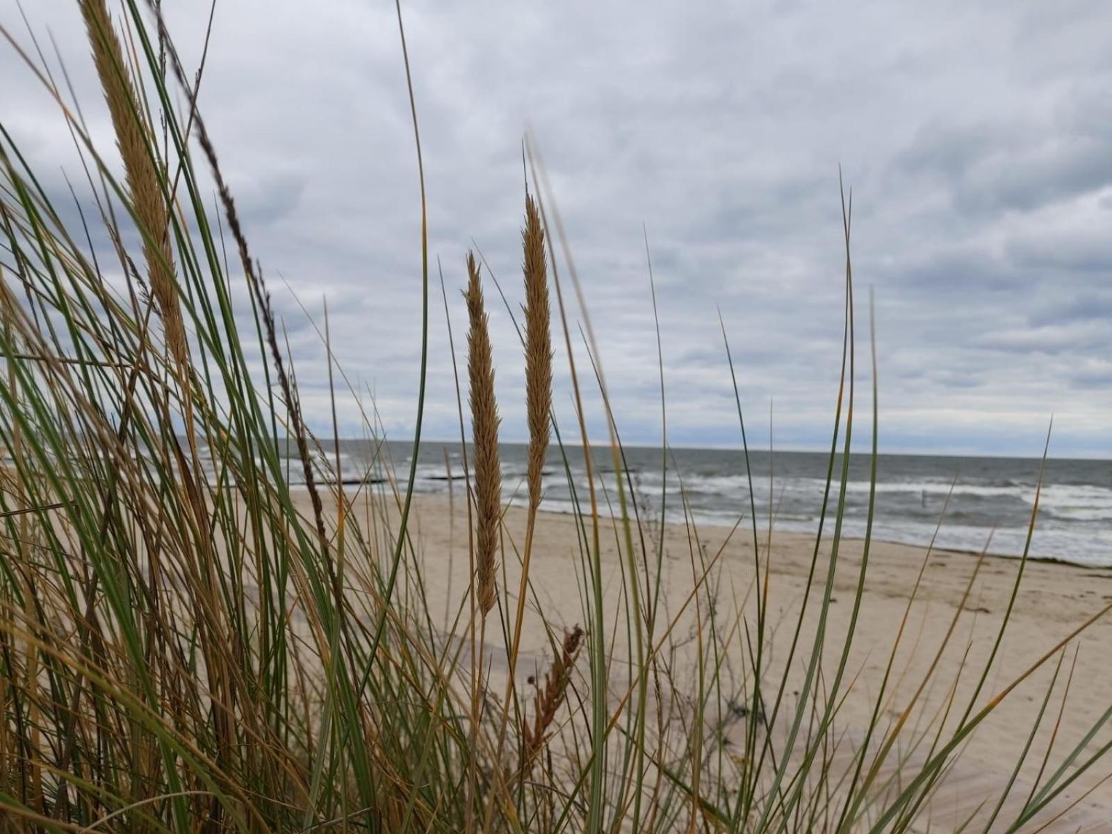 Ostsee Ferienhaus Usedom Hundefreundlich Familie Stopp Haus 22 Lutow Екстер'єр фото